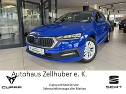 Blau Gebraucht 2021 Skoda Octavia Ambition Kombi | 19.990 € (Guter Preis)