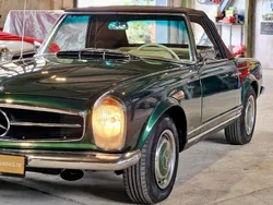 Grün Gebraucht 1967 Mercedes W113 Cabrio | 116.000 €