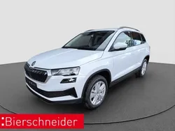 Grau Gebraucht 2024 Skoda Karoq Tour SUV | 27.699 € (Superpreis)