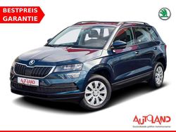 Blau Gebraucht 2019 Skoda Karoq Active SUV | 17.490 € (Fairer Preis)