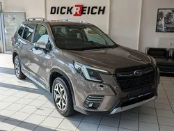Braun Gebraucht 2023 Subaru Forester SUV | 27.980 € (Fairer Preis)