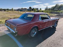 Rot Gebraucht 1966 Ford Mustang Coupé | 37.950 €