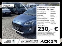Chrome blue Gebraucht 2019 Ford Fiesta Active Kleinwagen | 12.980 € (Fairer Preis)