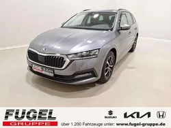 Grau Gebraucht 2023 Skoda Octavia Kombi | 23.999 € (Guter Preis)
