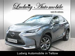 Mercury grey Gebraucht 2015 Lexus NX200t Sport Line SUV | 26.950 €