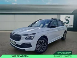 Moonweiss metallic Neu 2025 Skoda Kamiq Tour SUV | 32.950 € (Etwas zu teuer)