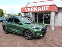 Bursting green Gebraucht 2024 Ford Kuga ST-Line X SUV | 37.490 € (Fairer Preis)