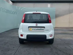 Weiß Neu 2024 Fiat Panda Kleinwagen | 12.499 € (Guter Preis)