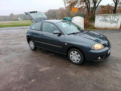 Grau Gebraucht 2007 Seat Ibiza Sport Kleinwagen | 1.250 € (Fairer Preis)
