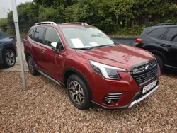 Rot Neu 2024 Subaru Forester Comfort SUV | 36.990 € (Fairer Preis)