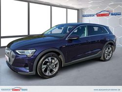 Violett Gebraucht 2021 Audi e-tron Basis SUV | 25.990 € (Guter Preis)