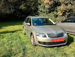 Gold Gebraucht 2014 Skoda Octavia Kombi | 12.300 € (Etwas zu teuer)