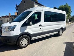 Frozen white Gebraucht 2019 Ford Transit Trend Van / Kleinbus | 16.500 € (Fairer Preis)