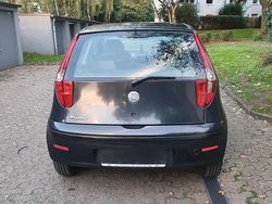 Schwarz Gebraucht 2005 Fiat Punto Kleinwagen | 900 € (Fairer Preis)