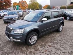 Grau Gebraucht 2016 Skoda Yeti Active SUV | 11.200 € (Fairer Preis)