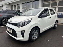 Weiß Gebraucht 2019 Kia Picanto Kleinwagen | 7.980 € (Fairer Preis)