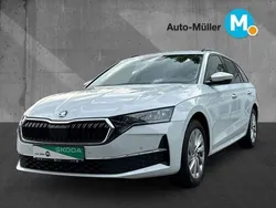 Weiß Gebraucht 2024 Skoda Octavia Selection Kombi | 27.480 € (Guter Preis)