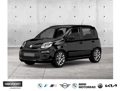 Colore esterno schwarz Gebraucht 2020 Fiat Panda Easy Kleinwagen | 9.980 € (Fairer Preis)