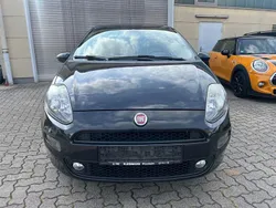 Schwarz Gebraucht 2017 Fiat Punto Basis Kleinwagen | 2.499 € (Etwas zu teuer)