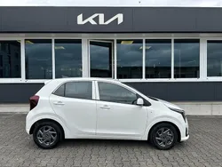 Weiß Neu 2025 Kia Picanto Vision Kleinwagen | 17.190 € (Fairer Preis)
