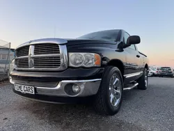 Schwarz Gebraucht 2004 Dodge Ram Abholung | 8.950 €