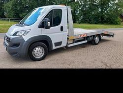 Weiß Gebraucht 2016 Fiat Ducato Van | 19.900 €