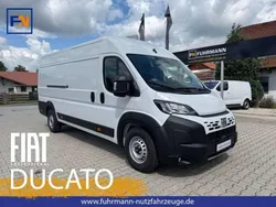 Weiß Neu 2025 Fiat Ducato Van | 36.878 € (Fairer Preis)