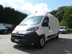 Weiß Neu 2024 Opel Movano Van | 31.480 € (Guter Preis)