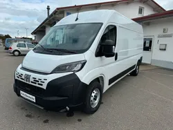 Weiß Neu 2024 Fiat Ducato Van | 35.990 € (Etwas zu teuer)