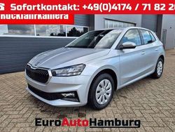 Brillantsilber metallic Neu 2025 Skoda Fabia Selection Kleinwagen | 21.590 € (Guter Preis)