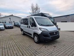 Grau Gebraucht 2020 Fiat Ducato Van | 16.300 € (Etwas zu teuer)