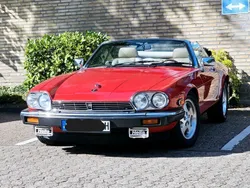 Rot Gebraucht 1989 Jaguar XJS Cabrio | 18.000 €