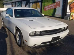 Weiß Gebraucht 2011 Dodge Challenger Coupé | 23.490 €