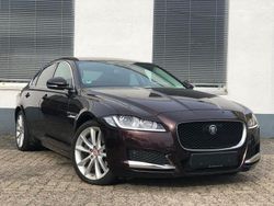 Violett Gebraucht 2016 Jaguar XF Limousine | 16.995 € (Guter Preis)