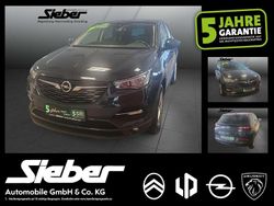 Saphir grau Gebraucht 2018 Opel Grandland X Edition SUV | 12.890 € (Fairer Preis)