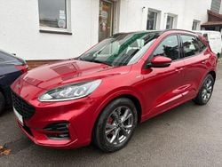 Rot Gebraucht 2021 Ford Kuga ST-Line SUV | 19.990 € (Guter Preis)