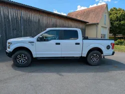 Weiß Gebraucht 2015 Ford F-150 Abholung | 30.000 €