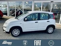Gelato weiss Gebraucht 2025 Fiat Panda Kleinwagen | 14.990 € (Fairer Preis)