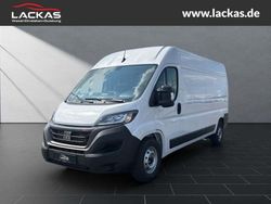 Weiß Gebraucht 2023 Fiat Ducato Cross Van | 36.990 € (Fairer Preis)