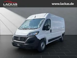 Weiß Gebraucht 2023 Fiat Ducato Cross Van | 36.990 € (Etwas zu teuer)