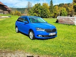 Blau Gebraucht 2019 Skoda Fabia Kleinwagen | 9.900 € (Guter Preis)