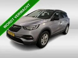 Grau Gebraucht 2020 Opel Grandland X Business SUV | 15.718 € (Fairer Preis)