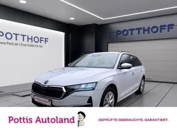 Weiss Gebraucht 2024 Skoda Octavia Selection Kombi | 29.777 € (Guter Preis)