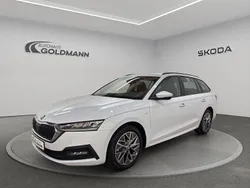 Weiß Gebraucht 2023 Skoda Octavia Tour Kombi | 27.900 € (Fairer Preis)
