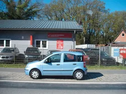 Blau Gebraucht 2011 Fiat Panda Dynamic Kleinwagen | 3.599 € (Etwas zu teuer)