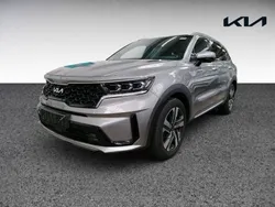 Grau Gebraucht 2024 Kia Sorento Platinum SUV | 43.330 € (Fairer Preis)