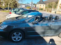 Grau Gebraucht 2004 Peugeot 307 CC Cabrio | 1.750 € (Guter Preis)