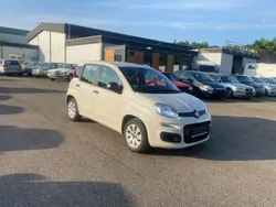 Beige Gebraucht 2016 Fiat Panda Easy Kleinwagen | 7.099 € (Fairer Preis)