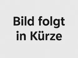 Gebraucht 2023 Alfa Romeo Tonale Veloce SUV | 36.990 € (Etwas zu teuer)