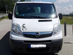 Weiß Gebraucht 2013 Opel Vivaro Van | 14.000 €